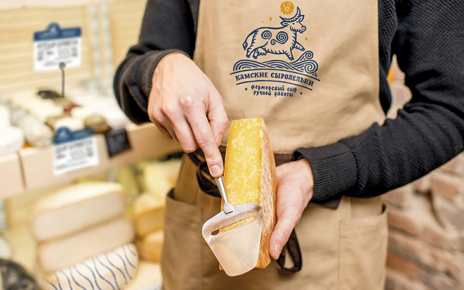 Логотип и фирменный стиль для производителя сыра ТМ «Камские сыродельни»